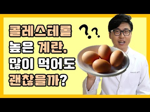 콜레스테롤 높은 계란 많이 먹어도 괜찮을까?