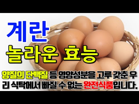 계란의 놀라운 효능 8가지 & 부작용 / 양질의 단백질 등 영양성분을 고루 갖춘 우리 식탁에서 빠질 수 없는 완전식품입니다.