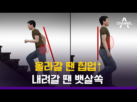 [건강 알고리즐]살 빼고, 근육 키우는 계단 걷기 2가지 원칙!